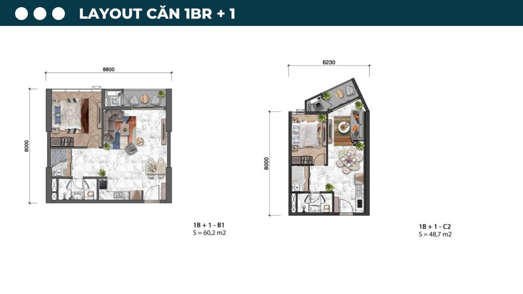 layout 1PN1 scaled 2